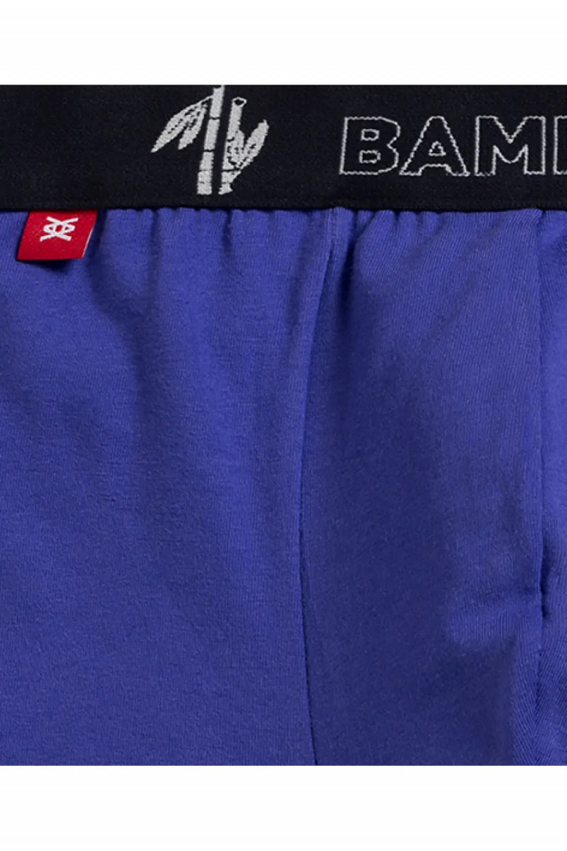 Труси чоловічі шорти ATLANTIC бамбук. Набір 2шт. 2MH-1187 т.синій/фіолетовий - LeConfort