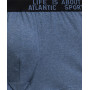 Труси чоловічі шорти ATLANTIC бавовна. Набір 3шт. 3MH-226  зелений меланж/винний меланж/блакитний меланж - LeConfort
