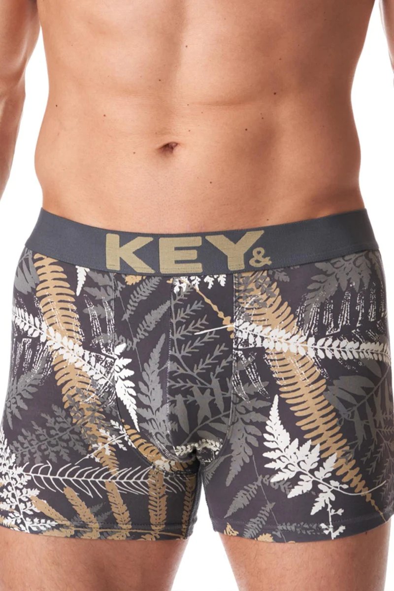 Труси чоловічі шорти бавовна KEY MXH-923 B23 - LeConfort