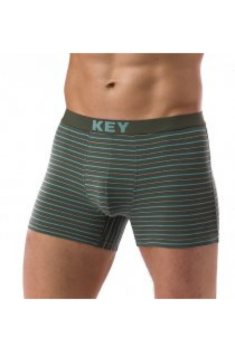 Трусы мужские шорты KEY MXH-030 B21 - LeConfort