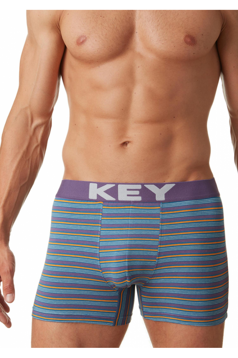 Трусы мужские шорты KEY MXH-354 A22 - LeConfort