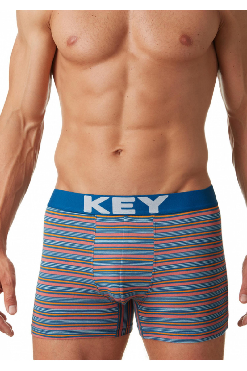 Трусы мужские шорты KEY MXH-354 A22 - LeConfort